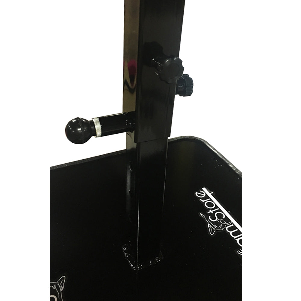 Adjustable Flier High Flyer Adjustable Cheer Stand – The Beam Store USA